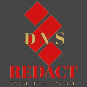 Logo DNS Redact